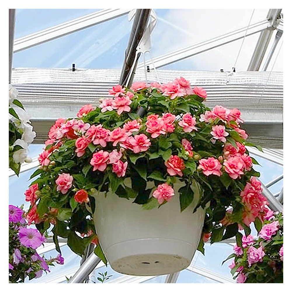 Beautify your space with decorative plastic hanging pots