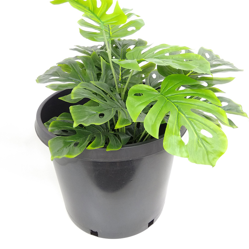 Injection Gallon Pots: Ideal for Trees, Shrubs, Palms and Other Large Plants