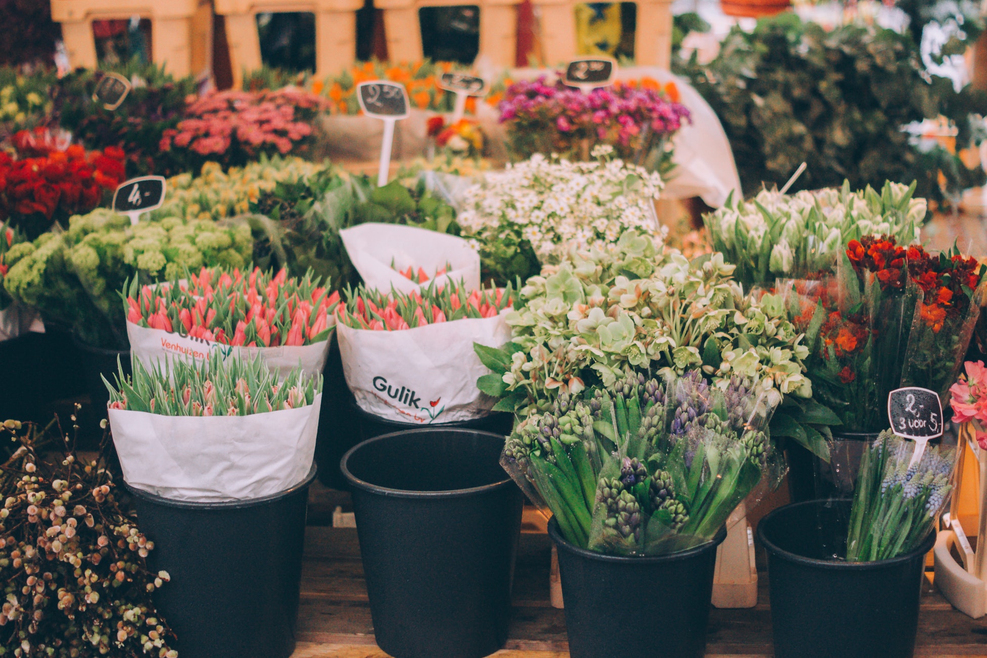 Difference Between Gallon Pots And Plastic Flower Pots