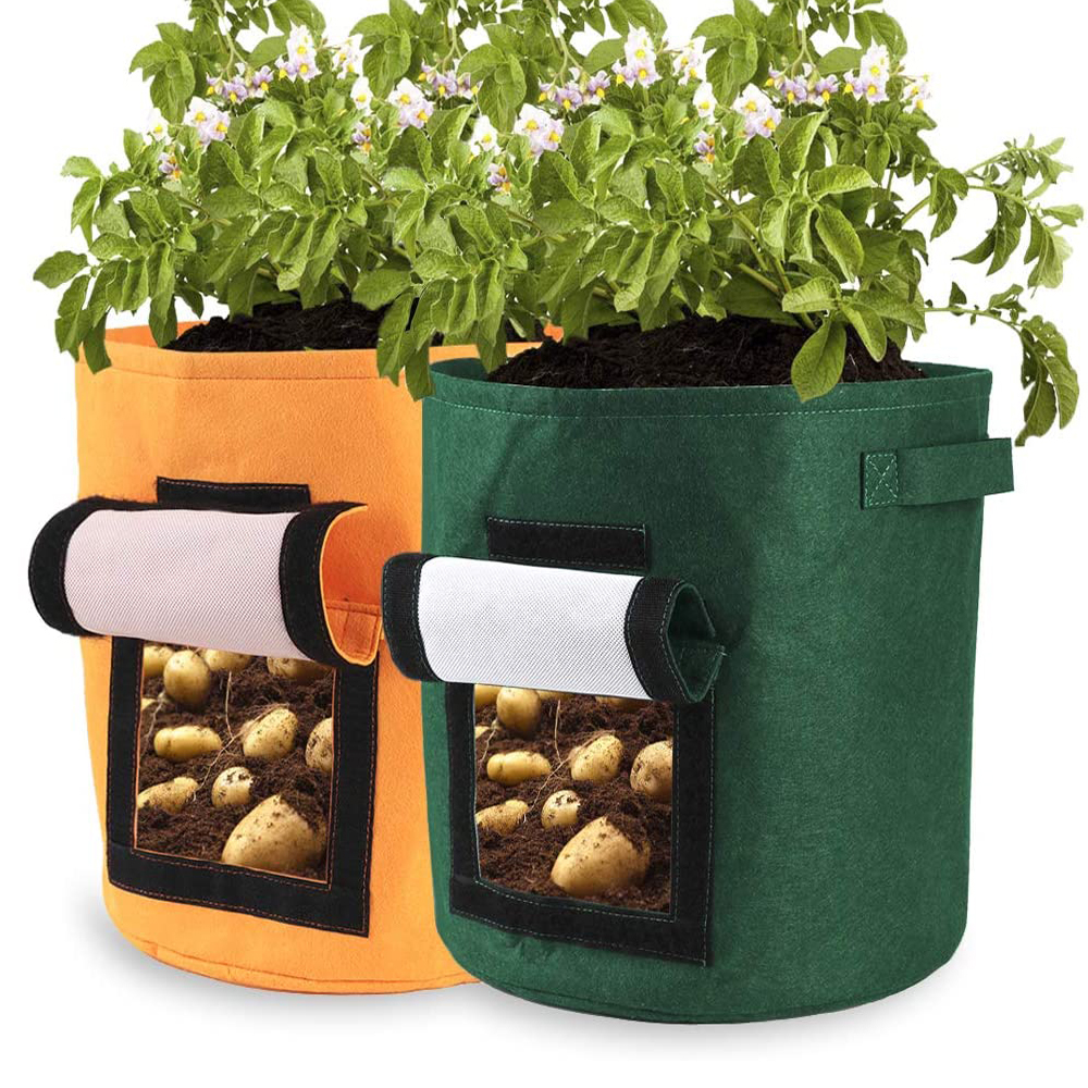 How to Grow Potatoes Using Grow Bags