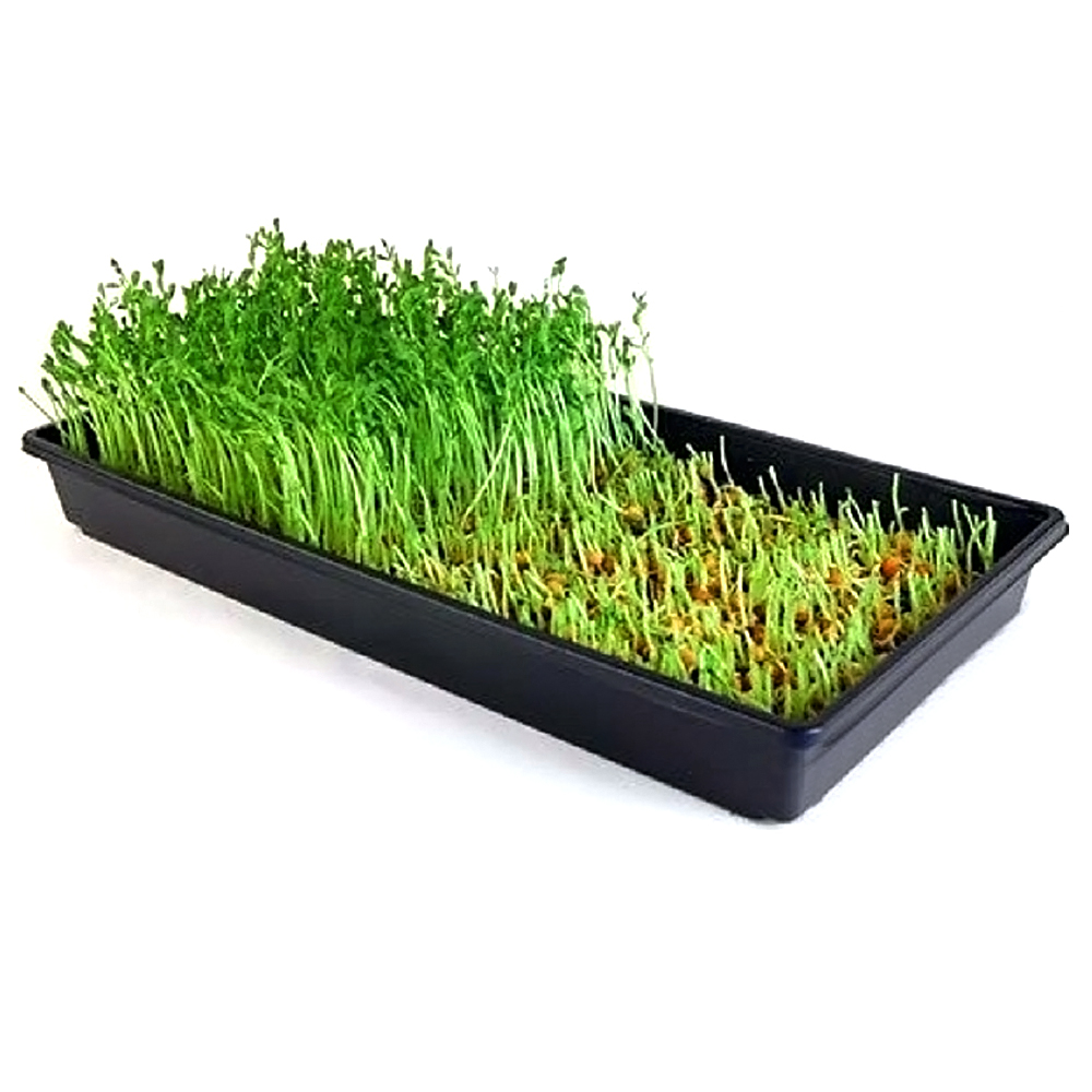 plastic seed tray