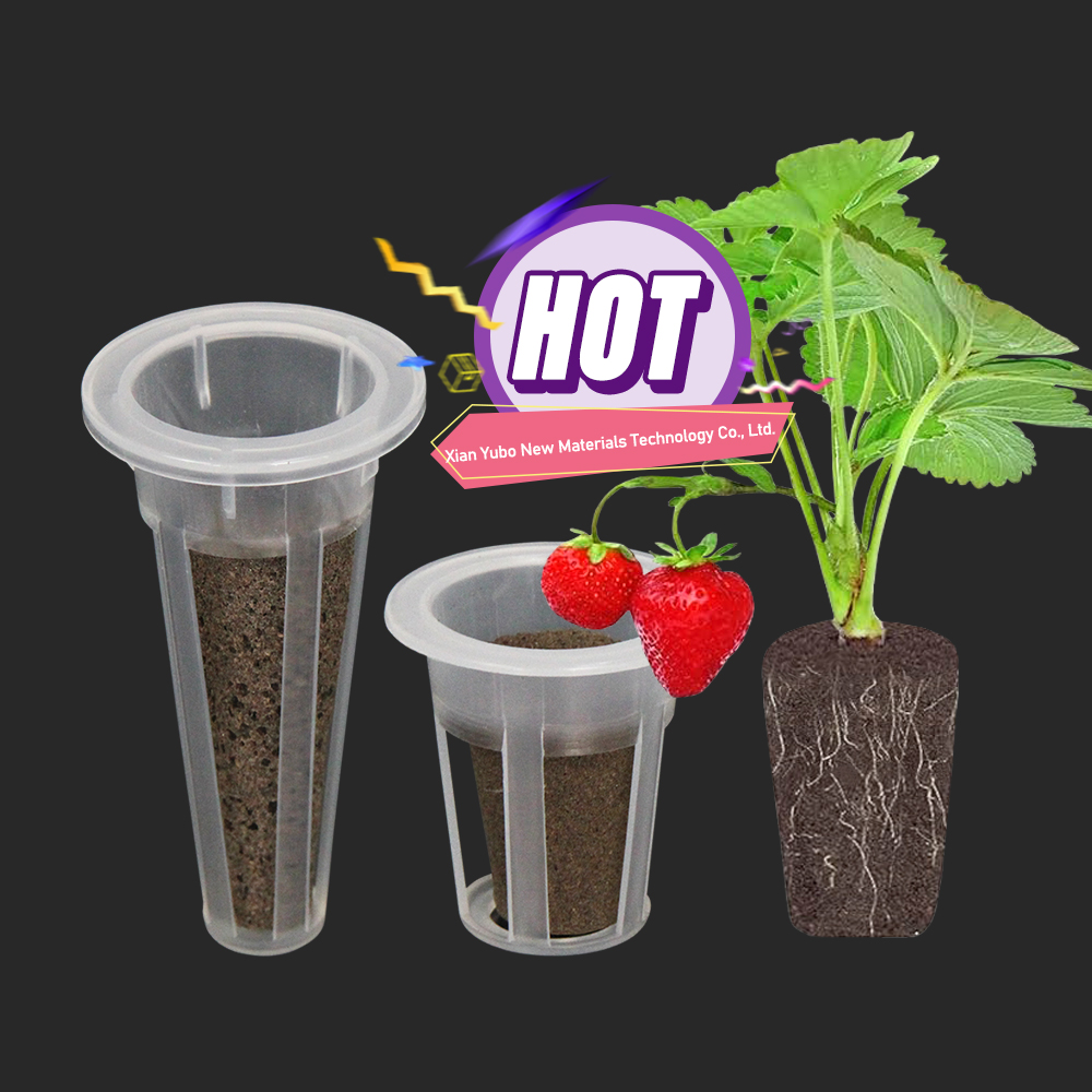 Seed Pod Kit: A Complete Solution for Growing Plants
